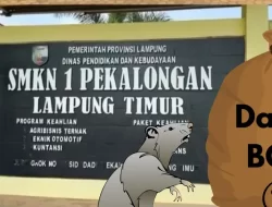 Intip Dana Bos SMKN 1 Pekalongan Lampung Timur Yang Di Duga Fiktif