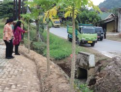 Walkot Bandar Lampung Sigap Pasang Box culvert, Pasca Banjir