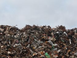 Miliki 90 unit Kendaraan Pengangkut Sampah, Pemkot Balam Rencanakan Tambah Armada