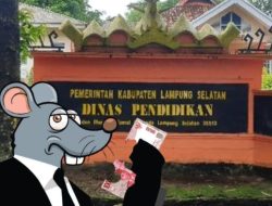 Ironis Korupsi Sektor Pendidikan Di Lampung Selatan, Di Duga Di Lakukan Oleh Keluarga Bupati