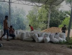 Di Duga Mafia Penyelundupan Bahan Pakan Ternak Dari Pelabuhan Panjang Makin Merajalela