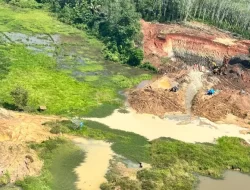 DPRD Lampung Cari Jalan Tengah: Tambang Ditertibkan, Perut Rakyat Tetap Aman