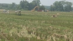 Tambang Galian C Di Lamteng Di Duga Ilegal, Disinyalir Di Bekingi Oknum APH