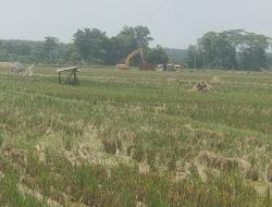 Tambang Galian C Di Lamteng Di Duga Ilegal, Disinyalir Di Bekingi Oknum APH