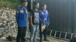 Momen Damkar Evakuasi Sarang Tawon Pala Di Perumahan Sebalang Lamsel