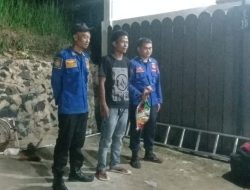 Momen Damkar Evakuasi Sarang Tawon Pala Di Perumahan Sebalang Lamsel