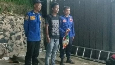 Momen Damkar Evakuasi Sarang Tawon Pala Di Perumahan Sebalang Lamsel
