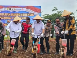 Syukron Muchtar Ikuti Tanam Raya Jagung Serentak di Pesawaran
